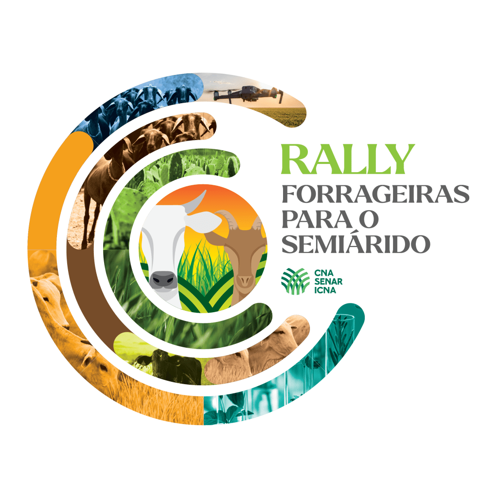 rally_forrageiras_idv