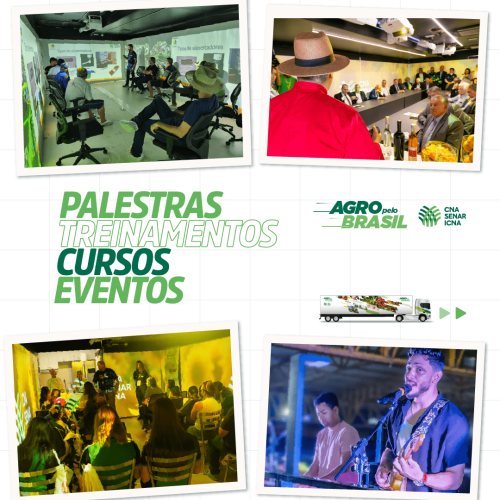 2.cards_carreta_carrossel